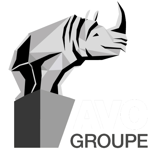 AVC Group