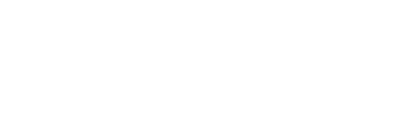 Nexecur